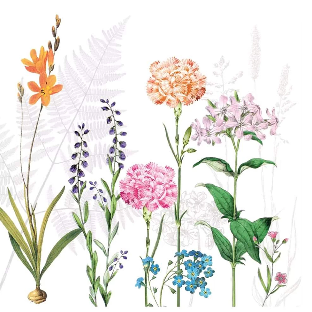 Botanical Bloom
