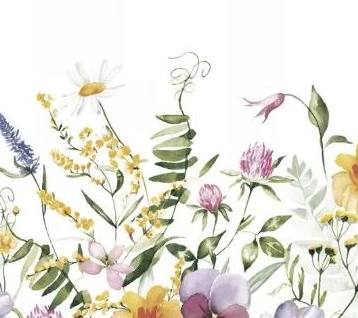 Meadow Whispers